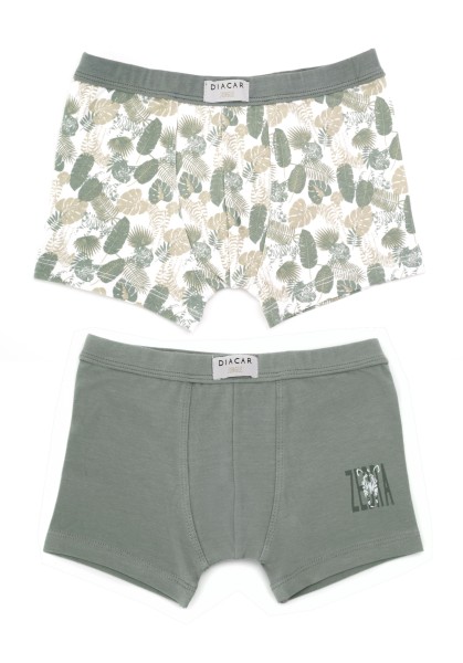 Pack 2 Bóxers para niño Wild Jungle 2