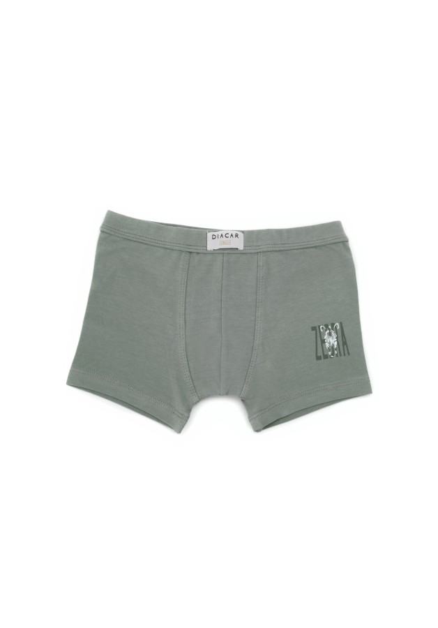 Pack 2 Bóxers para niño Wild Jungle