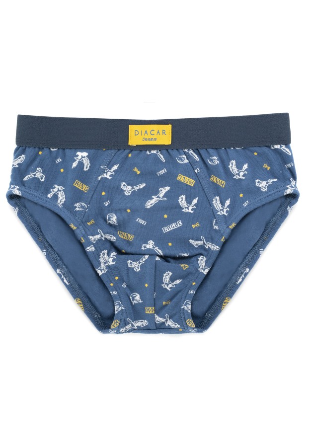 Pack de dos slips de niño King of the sky